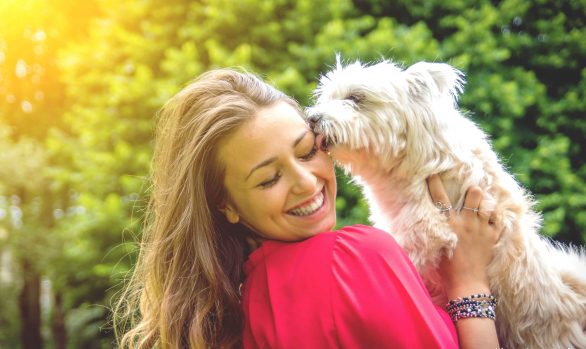 shooting-photo-chien-28