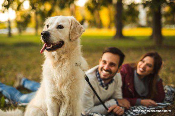 shooting-photo-chien-79