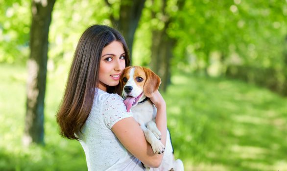shooting-photo-chien-10
