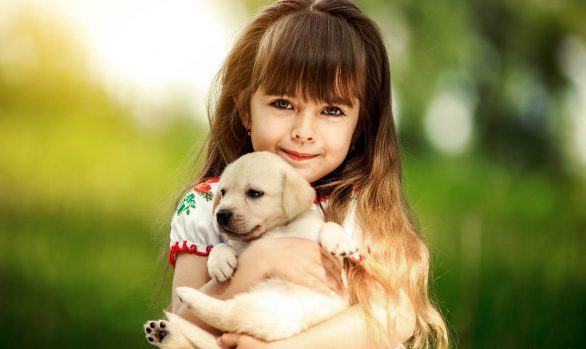shooting-photo-chien-41